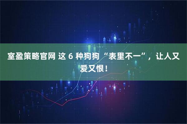 室盈策略官网 这 6 种狗狗 “表里不一”，让人又爱又恨！