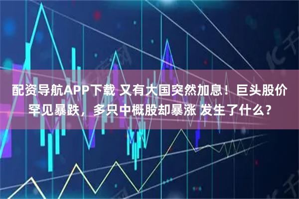 配资导航APP下载 又有大国突然加息！巨头股价罕见暴跌，多只中概股却暴涨 发生了什么？