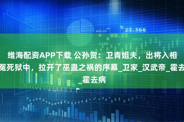 维海配资APP下载 公孙贺：卫青姐夫，出将入相却冤死狱中，拉开了巫蛊之祸的序幕_卫家_汉武帝_霍去病